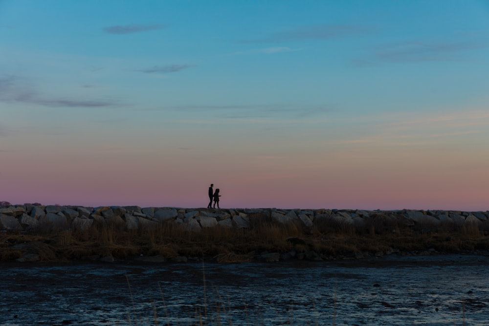 people walking in dock