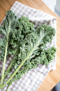 Fresh curly kale leaves with deep green color and textured edges