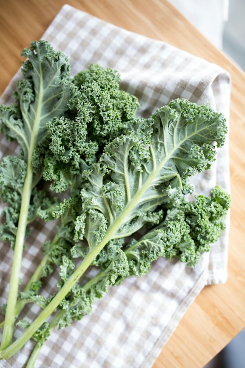Daun Kale Hydroponic Fresh Organik (250g)