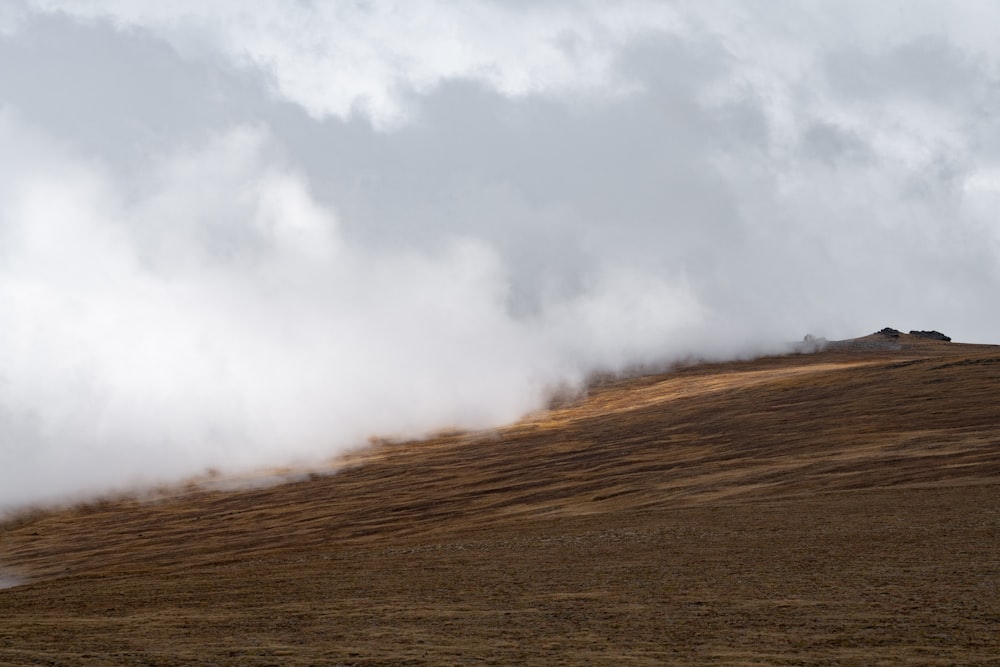 mountain covered with fogs