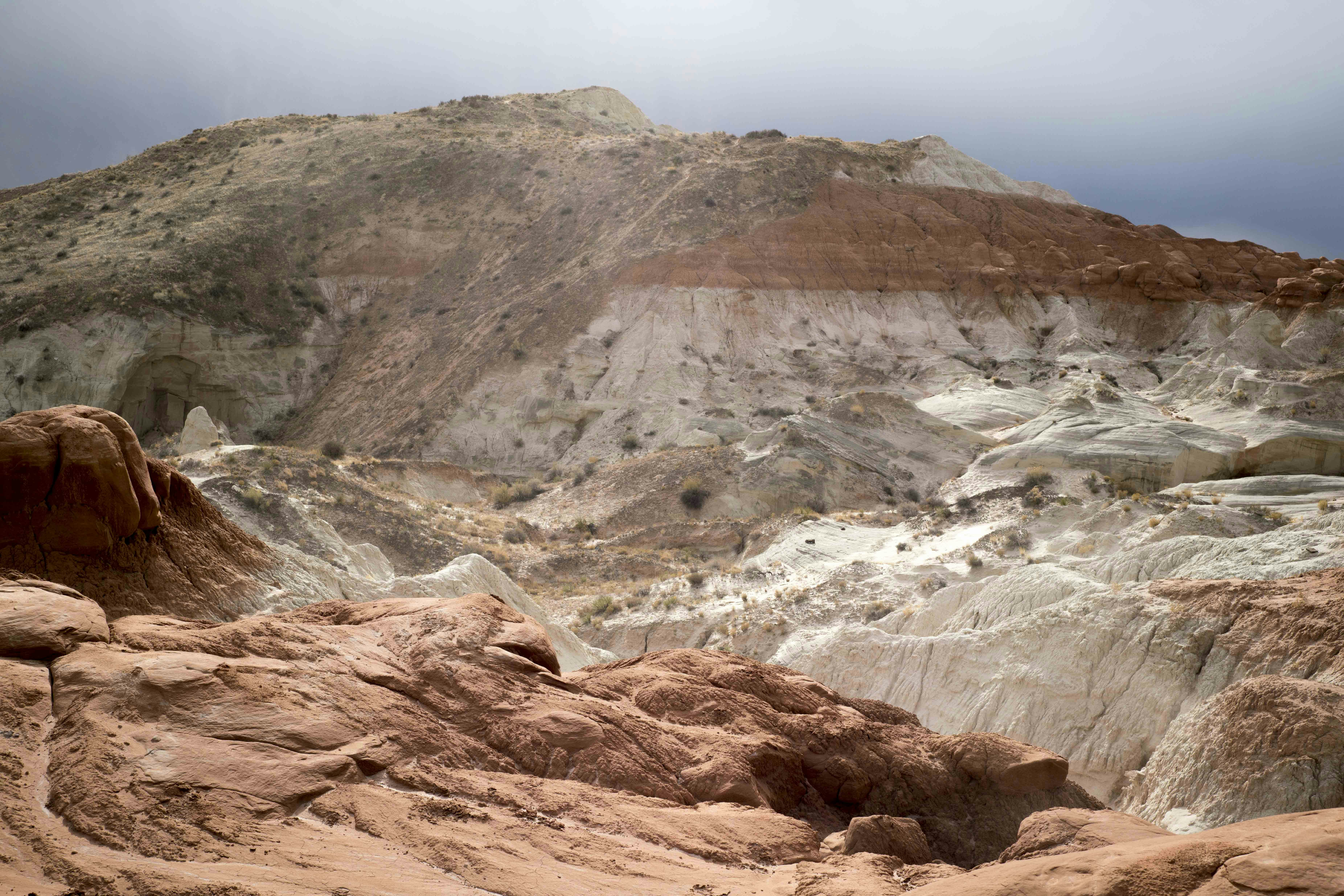 Photo by masonrfield