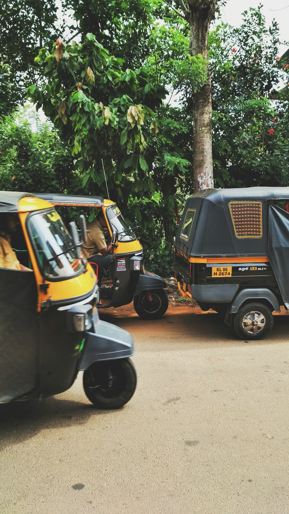 auto-rickshaw passing through tree