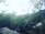A serene nature scene with lush greenery and sunlight.