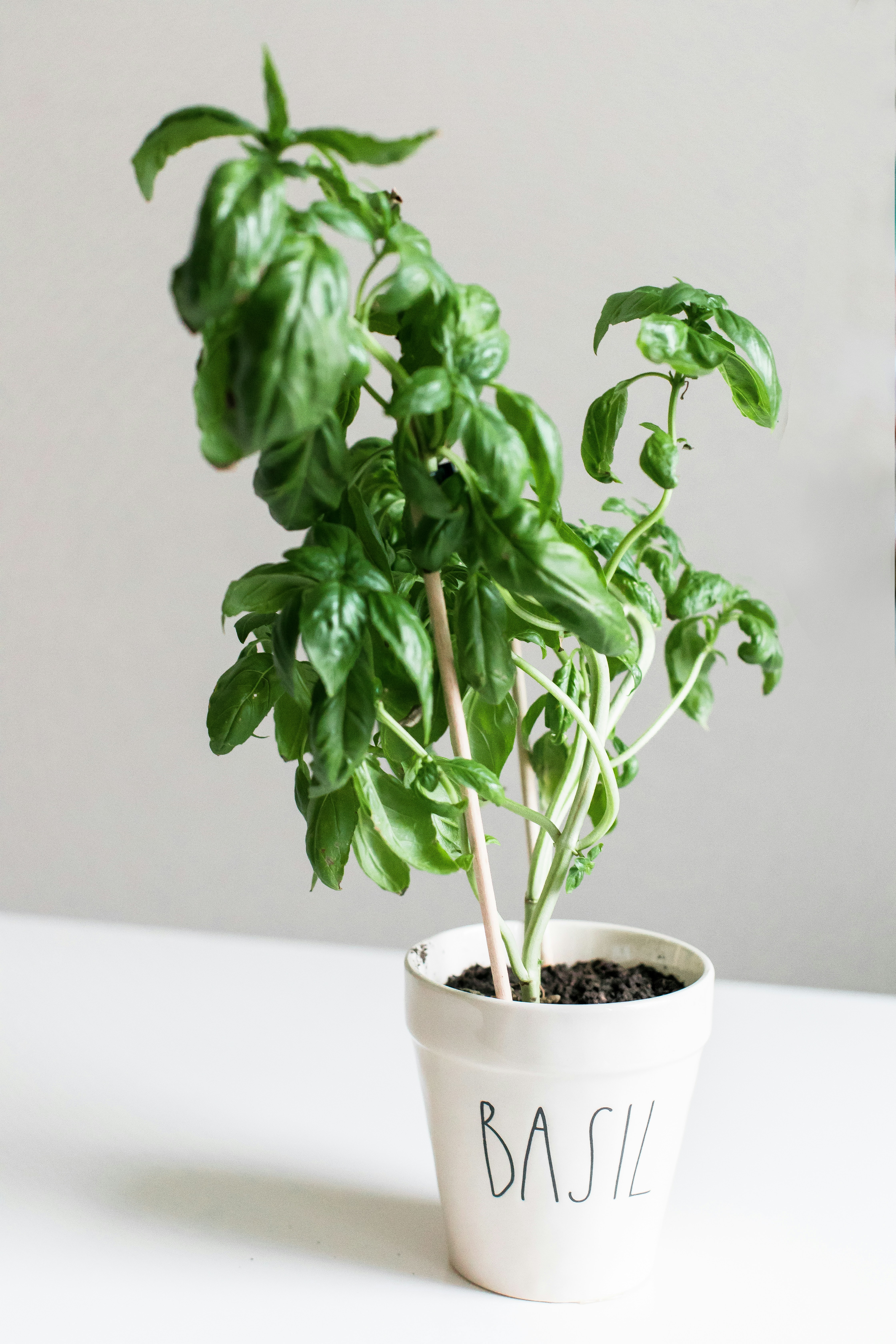 The Dichotomy of Control: Ancient Wisdom That Instantly Reduces Stress