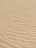 brown sands