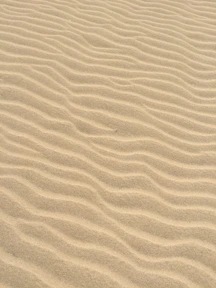 brown sands