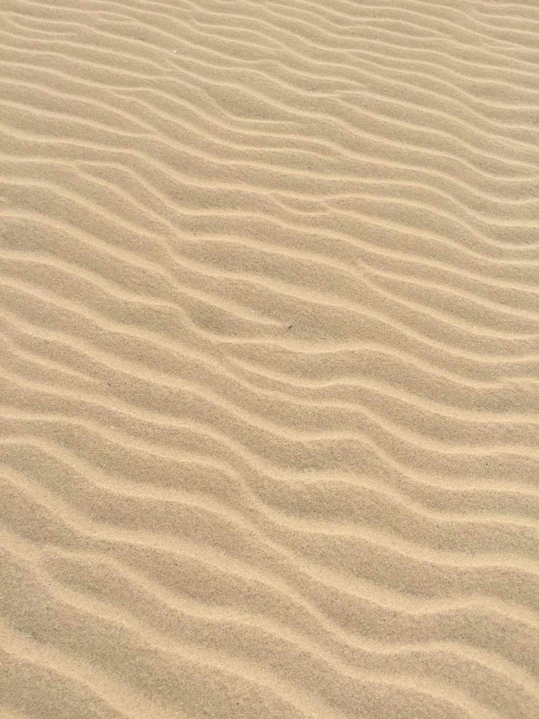 Deserto di Viana