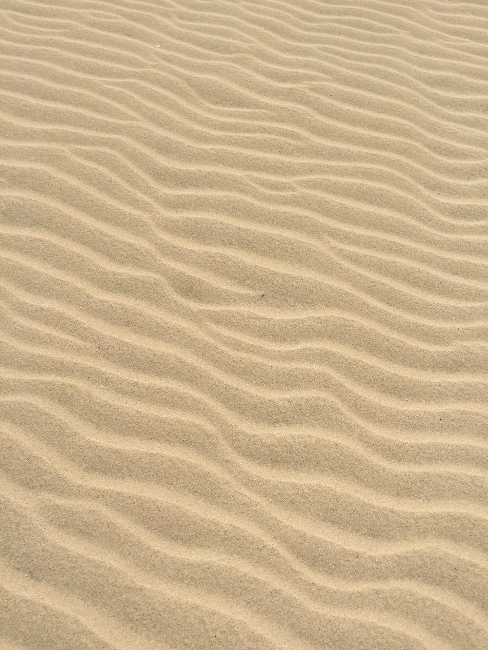 Details 100 sand background hd