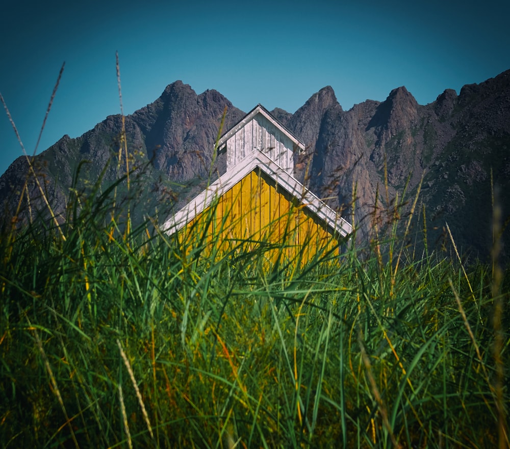 푸른 나무로 둘러싸인 갈색과 흰색 목조 주택