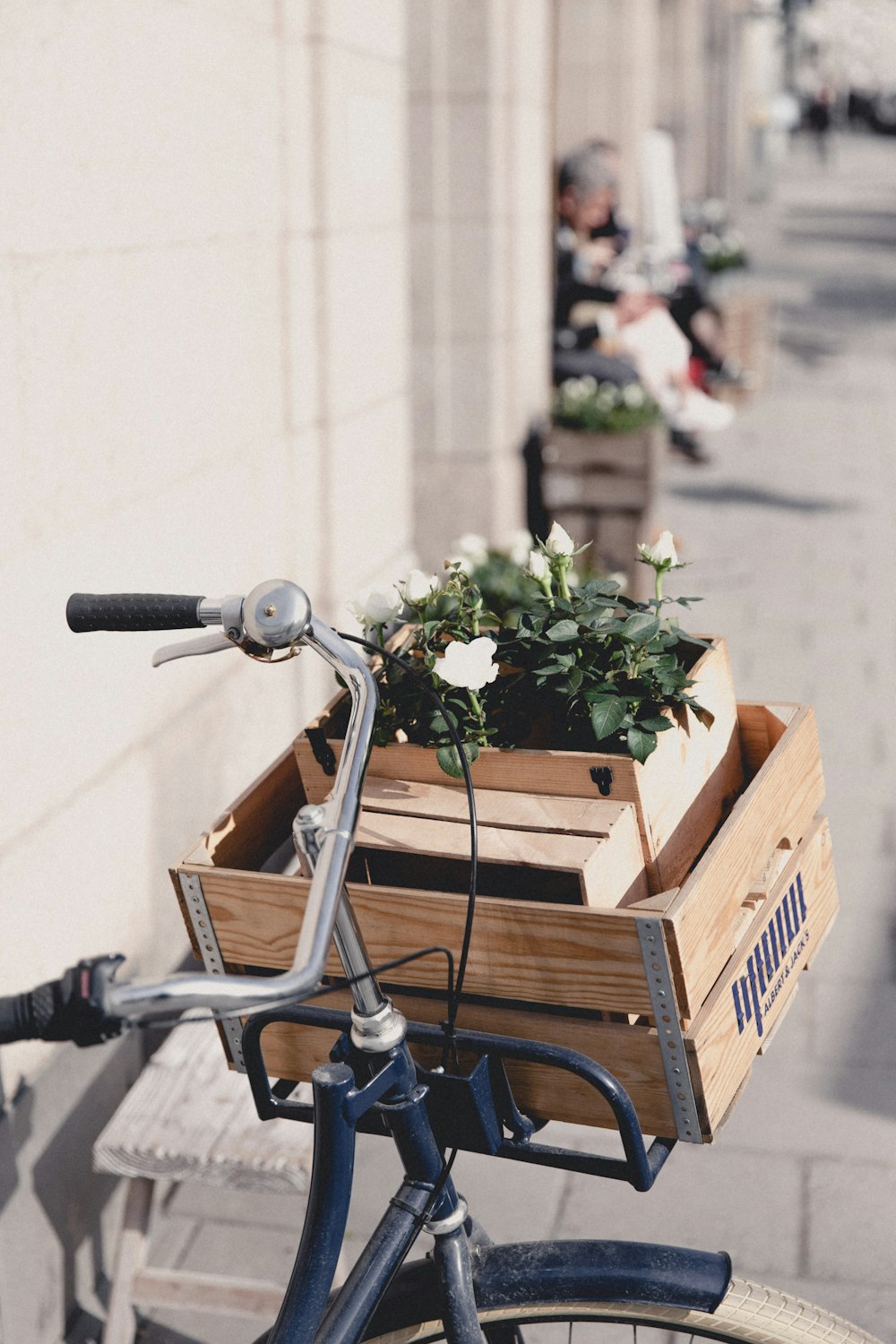 green leafed plant with white flowers in brown basket