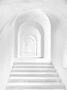 white concrete building