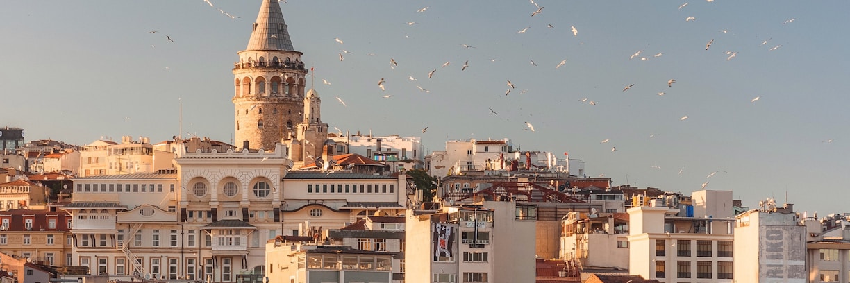 aerial view of buildings and flying birds