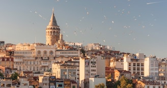 aerial view of buildings and flying birds