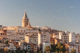 aerial view of buildings and flying birds