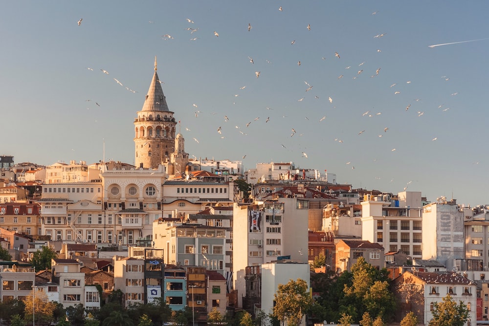 Veduta aerea di edifici e uccelli in volo