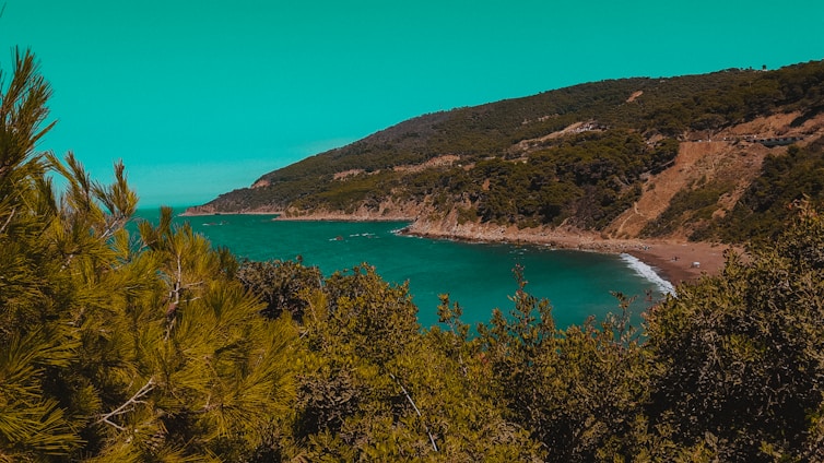 A vibrant photo of Samaná's coastline with turquoise waters and lush green hills under a bright sky.