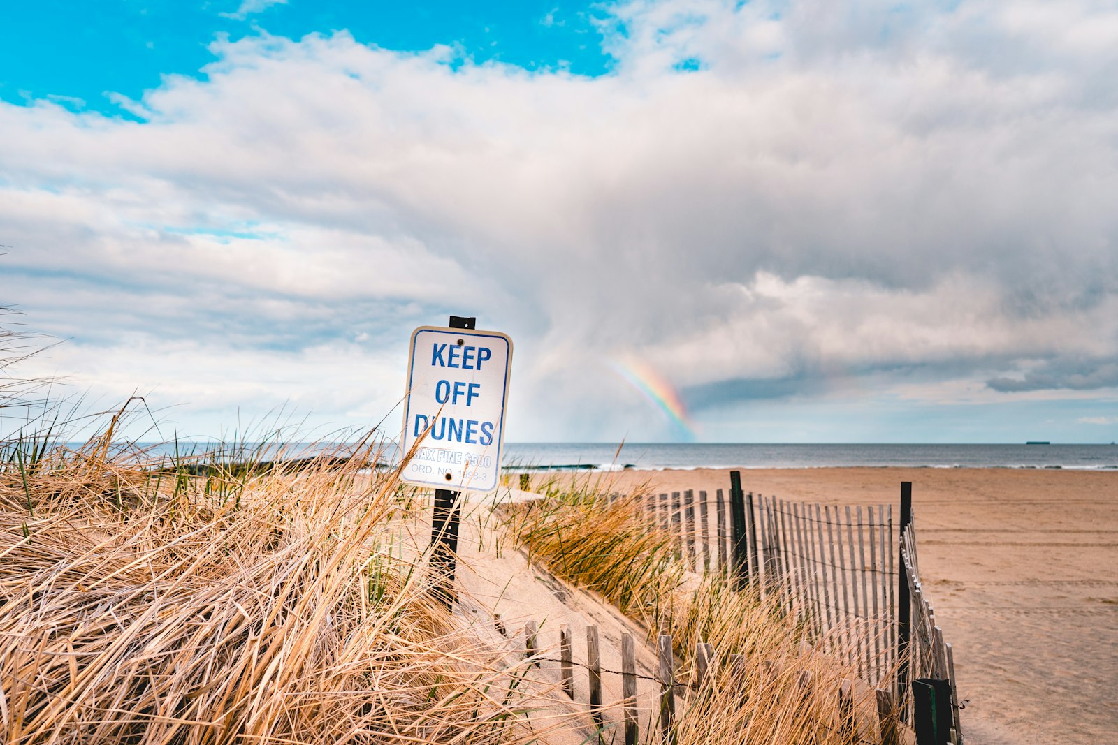 Sony a7 II + ZEISS Batis 25mm F2 sample photo. Brown field under cloudy photography