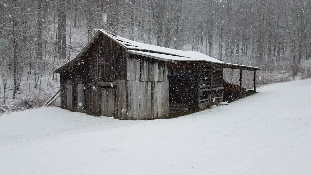雪に覆われた灰色の小屋