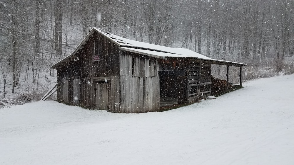 cobertizo gris cubierto de nieve