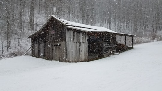 gray shed coated with snow in Zionville United States