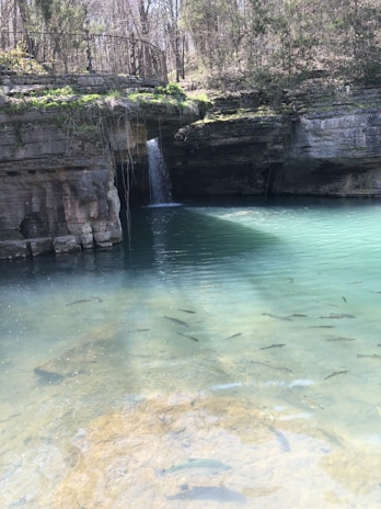 A serene natural scene featuring a small waterfall cascading over a rocky ledge into a clear pond. The water exhibits a blend of light blue and green hues, with several fish visible swimming beneath the surface. Around the pond, dense foliage and trees create a secluded and tranquil atmosphere.
