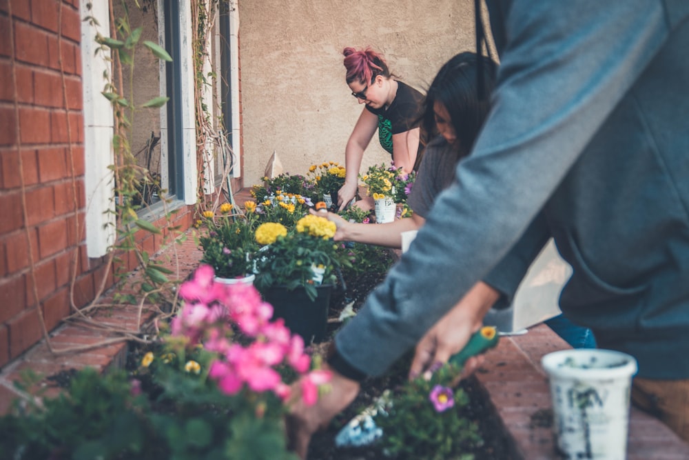 Drei Menschen pflanzen Blumen