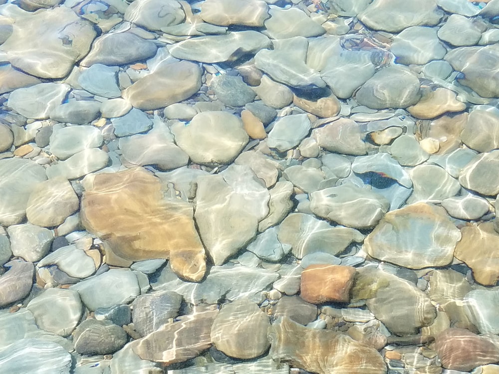 rocas grises y marrones