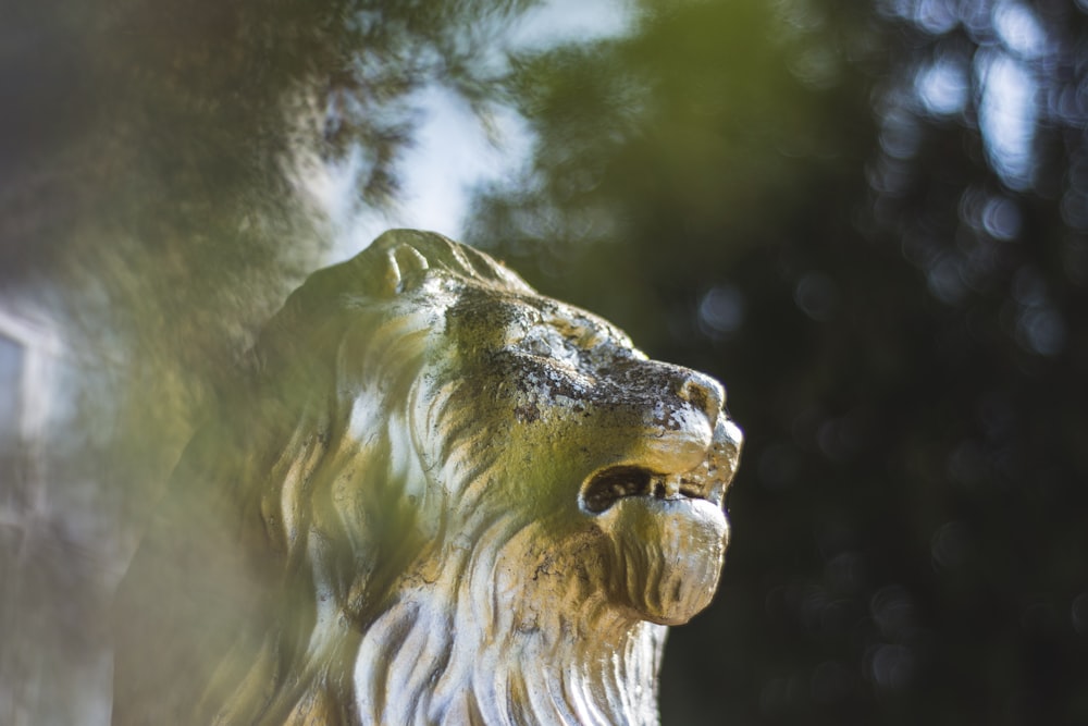 white lion statue