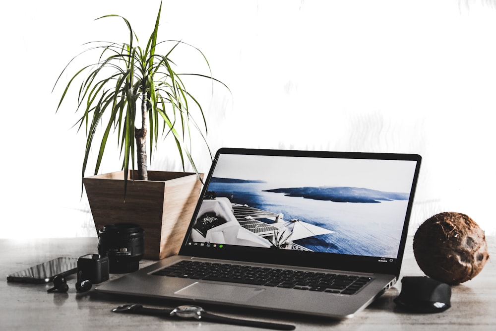 laptop computer beside potted plant