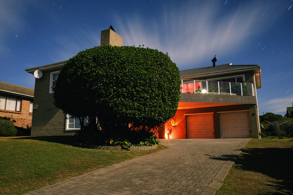 leafed tree near 2-story house