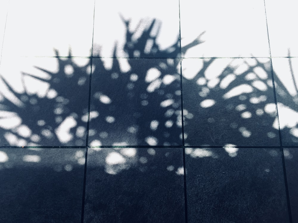 shadow of plant towards floor tiles