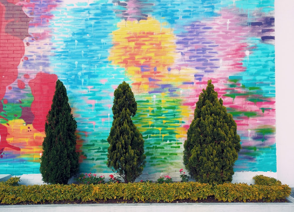 parede pintada com cores atrás da planta