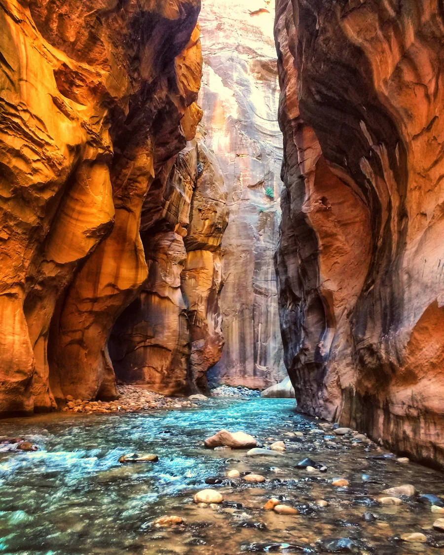 The Virgin River running between the narrow sandstone walls of Zion Canyon