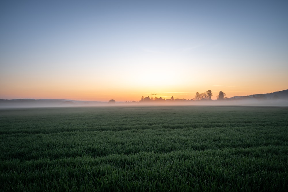 Fotografía de paisaje de campo de hierba verde