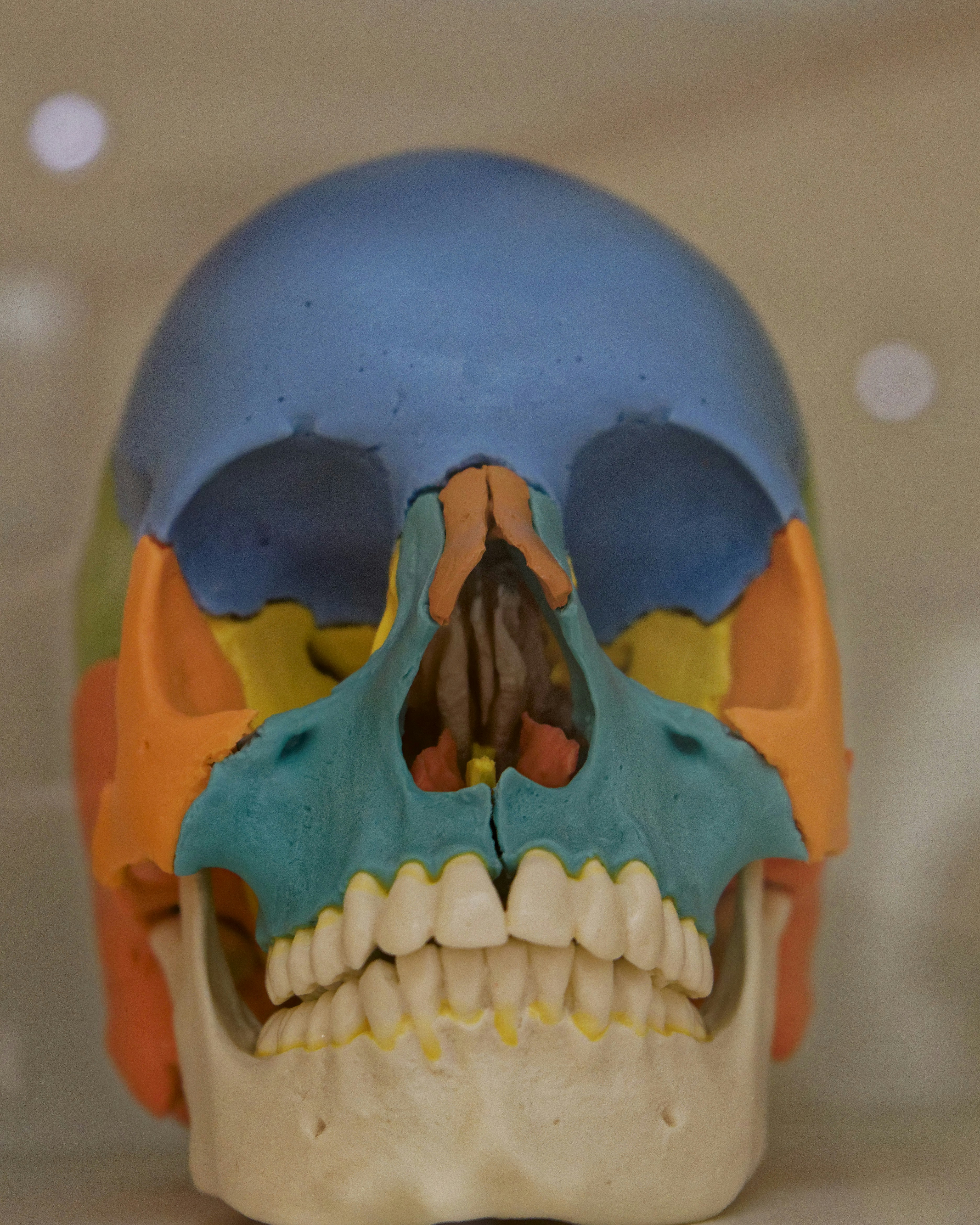 photo 1524303996208 d0deafe112dc?ixlib=rb 4.0