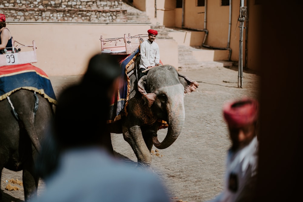 Persona montada en elefante gris