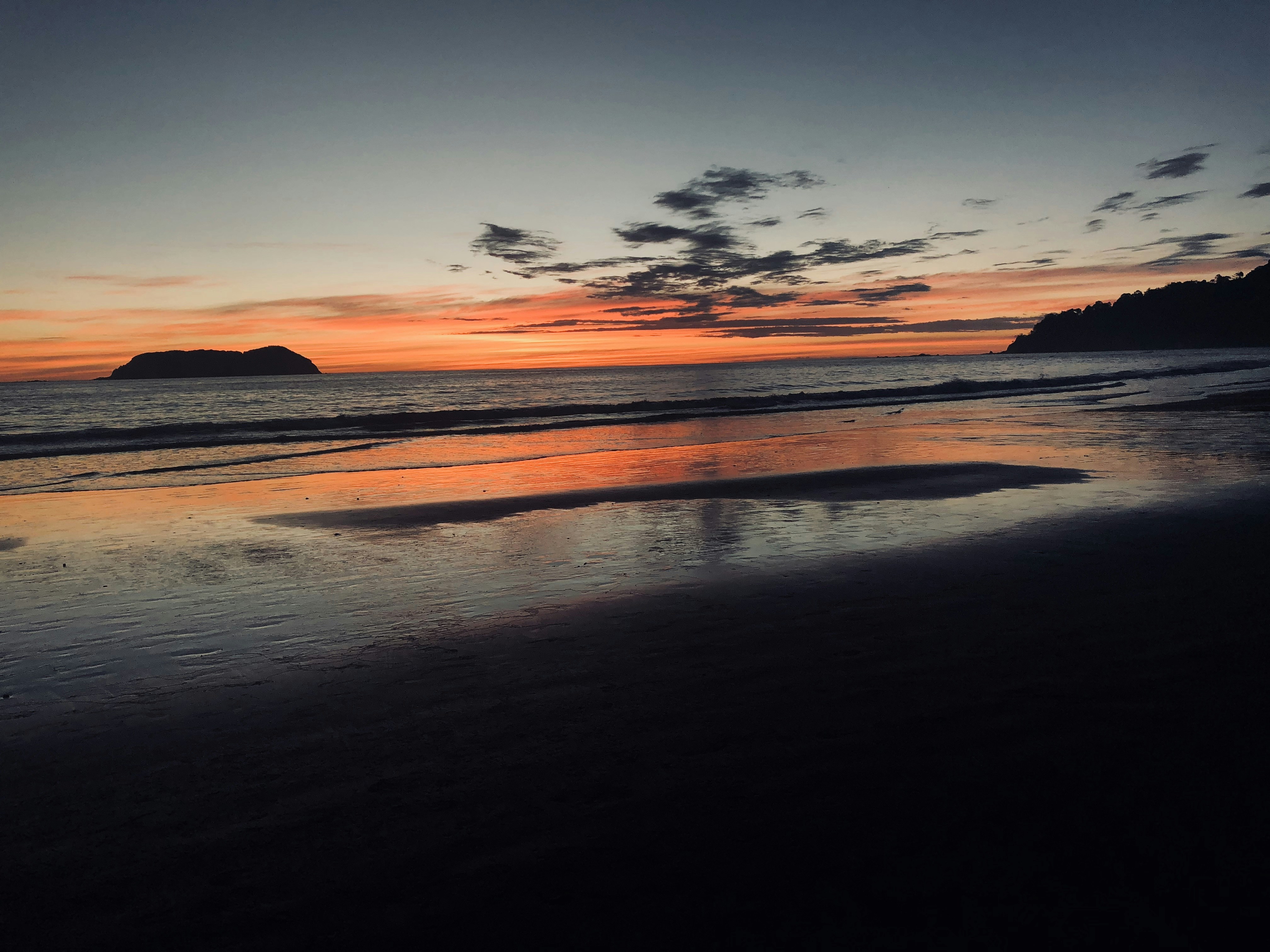 A Week in Manuel Antonio Park, Costa Rica