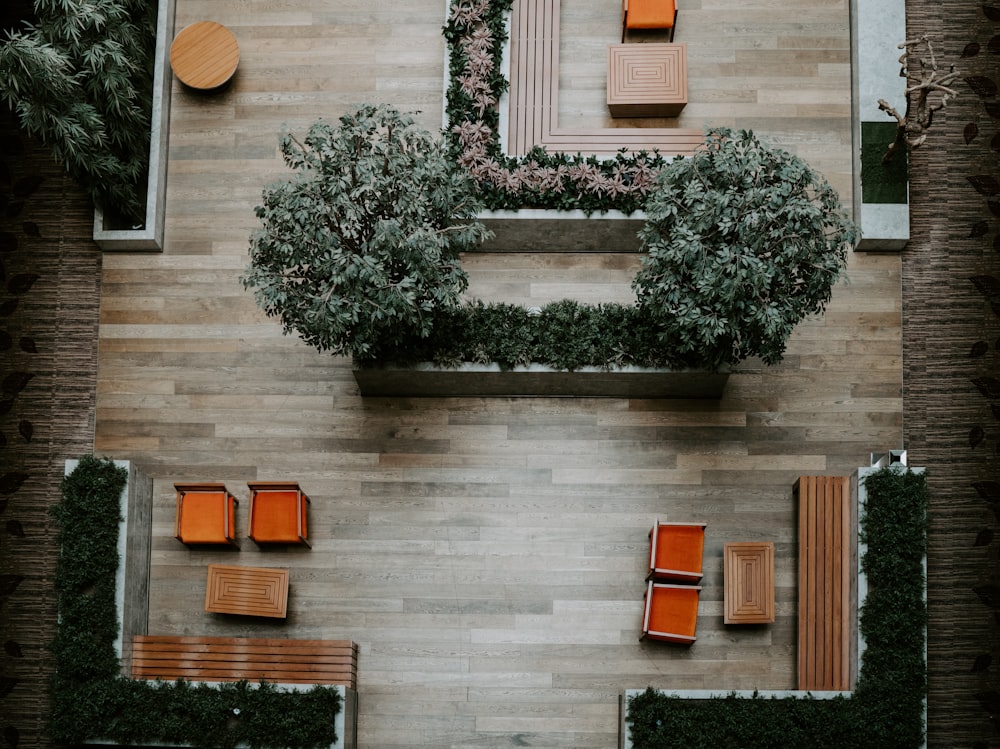 photo of chairs near plant pods