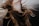 Long, flowing hair is captured in motion against a blurred background. The strands of hair have a natural mix of colors ranging from dark brown to lighter blond shades. The motion suggests a dynamic and free-spirited moment.