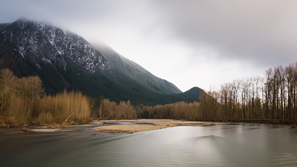 brown leafed trees near body of water and mountain under white clouds during daytime