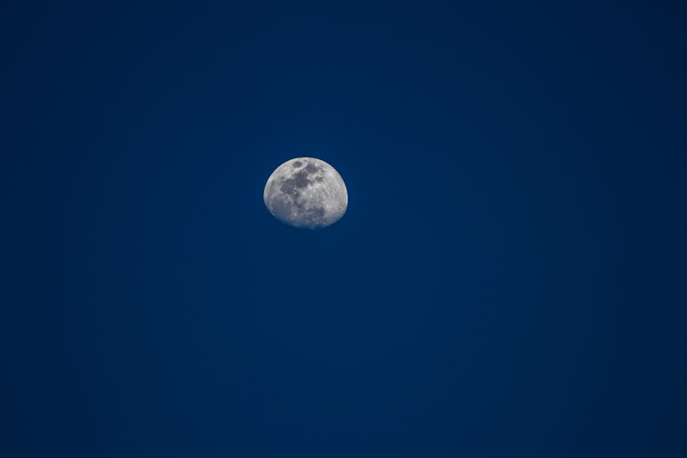 Fotografia a fuoco superficiale della luna al cielo