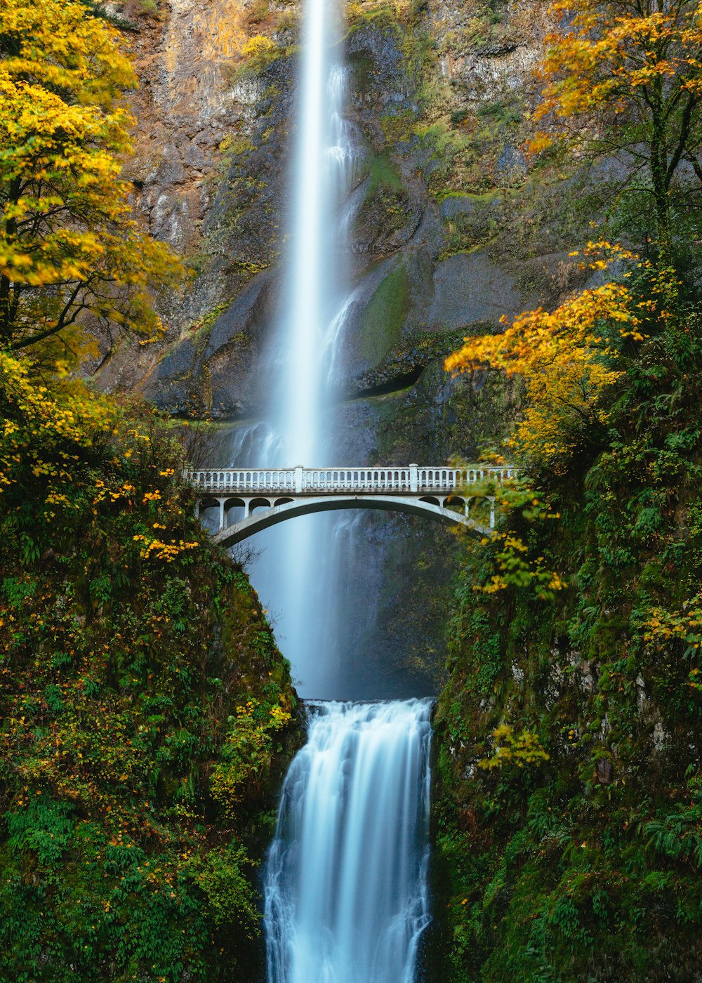 bridge in between trees photo – Free Waterfall Image on Unsplash