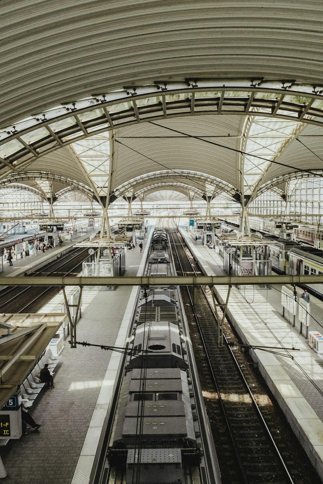 Photo de scenic railway par Bernard Hermant