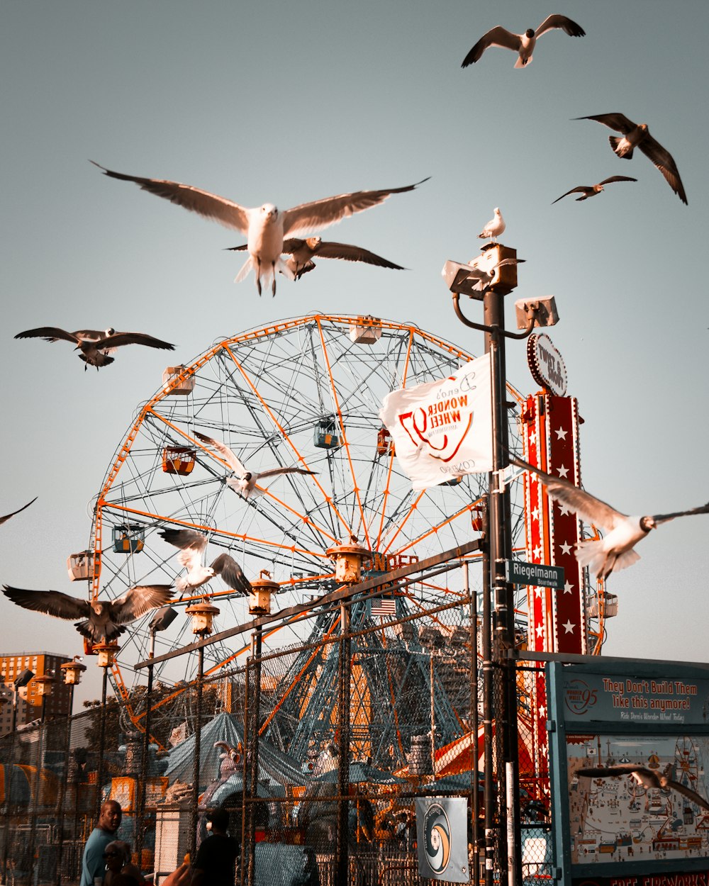 flock of birds flying near ferris wheel