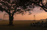 Volunteers planting trees around the festival grounds at sunset.
