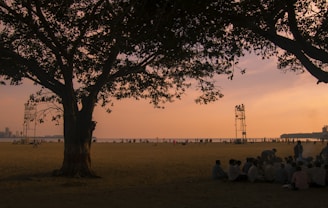 Elders gathered under a large iroko tree sharing stories in the evening light