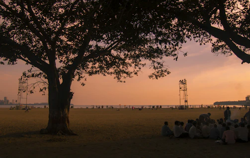 Volunteers planting trees around the festival grounds at sunset.