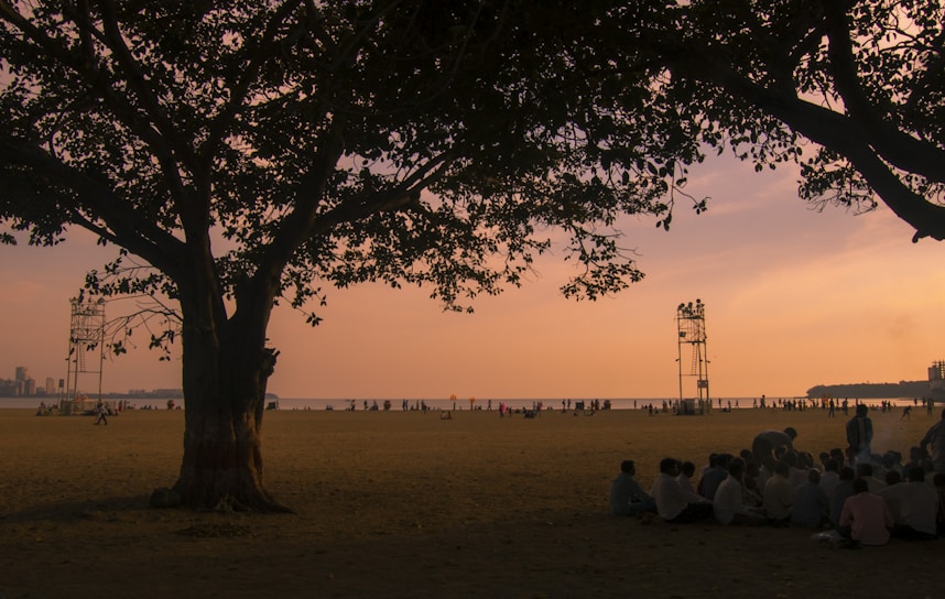 Elders gathered under a large iroko tree sharing stories in the evening light