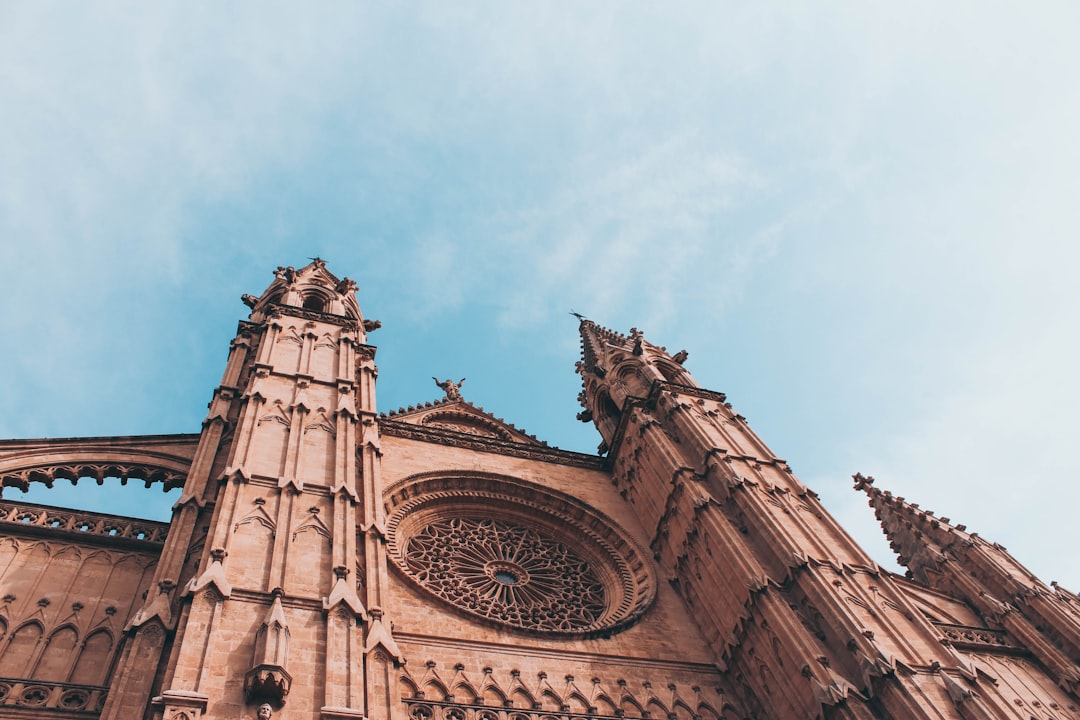 Landmark photo spot Catedral-Basílica de Santa María de Mallorca Palma