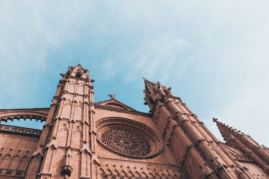 brown cathedral in Catedral-Basílica de Santa María de Mallorca Spain